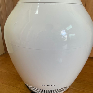 발뮤다 레인 가습기 22년 구매 이미지