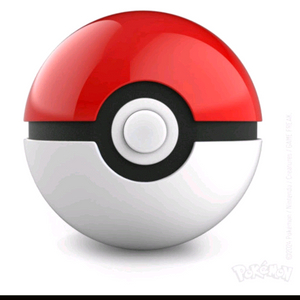 입양하세요 급처펫 매입해요! 이미지