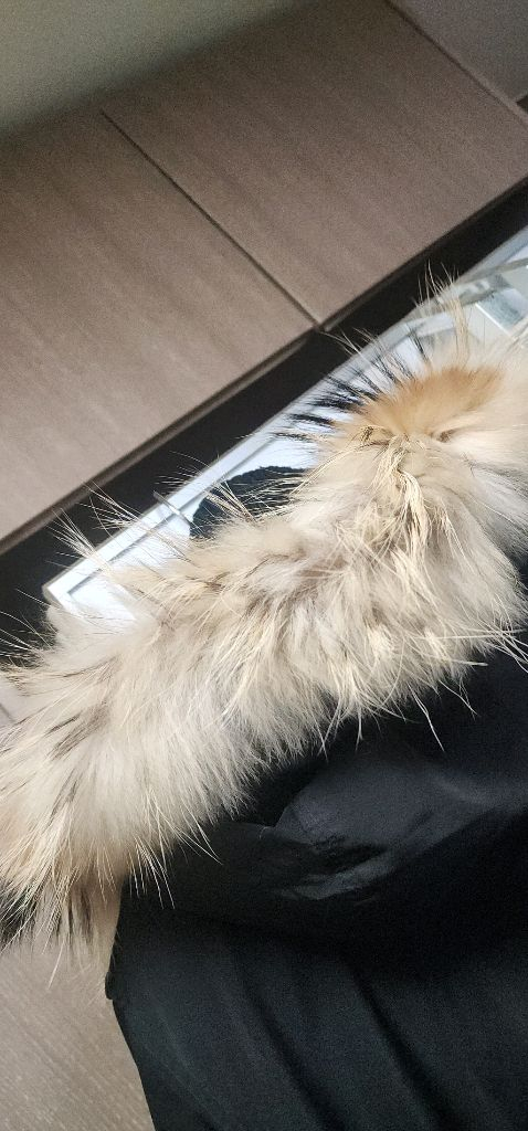 버버리 여성 파카코트 55~66--5