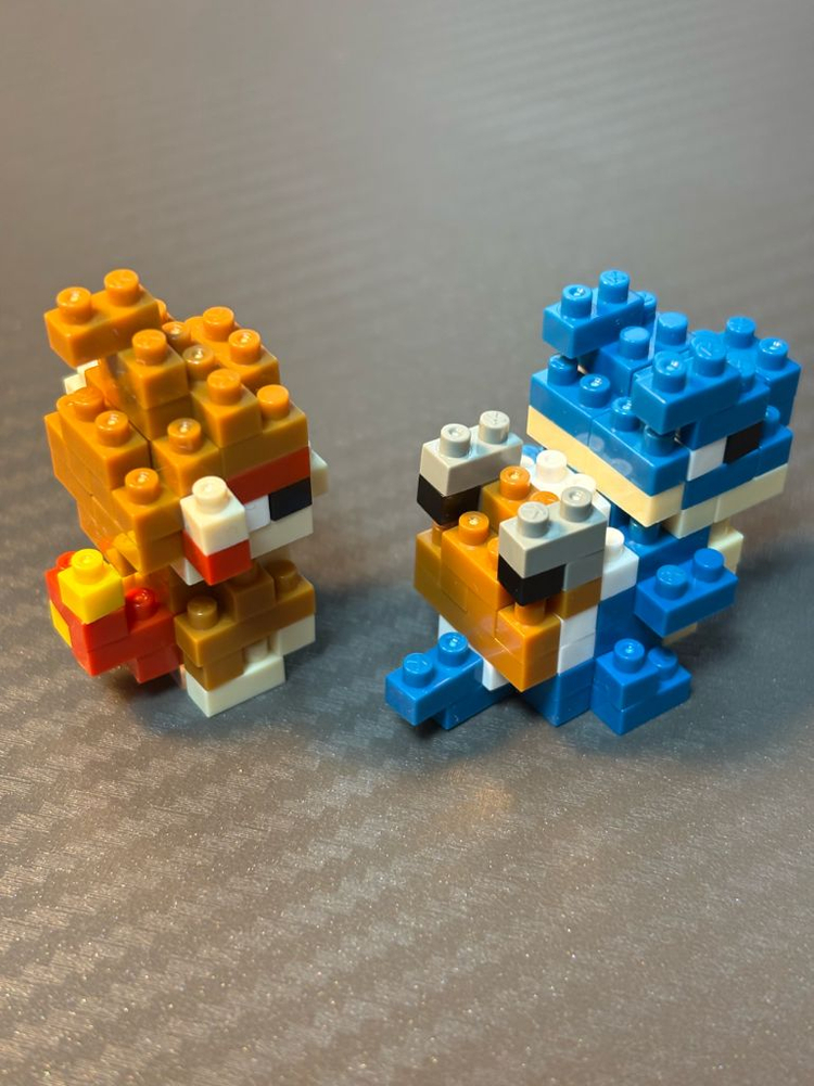 포켓몬센터 거북왕 파이숭이 레고--1