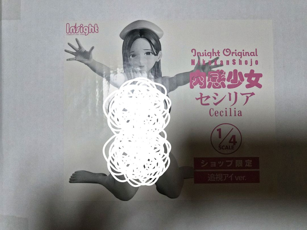 1/4 인사이트 육감소녀 간호사 세실리아 미소녀 성인 피규어--1