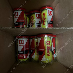 윌슨 챔피온 테니스공