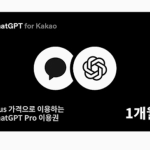 챗 지피티 프로삽니다 이미지