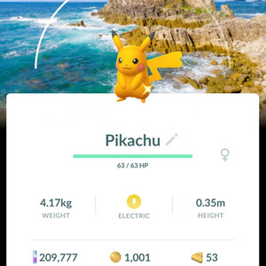 포켓몬고 후쿠이 배경 이로치 피카츄 이미지