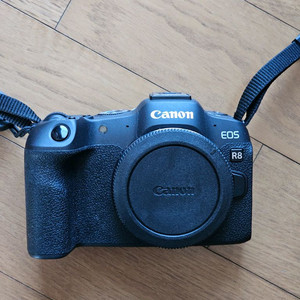 Canon Eos R8 + RF 24-105mm F4-7.1 IS STM 이미지