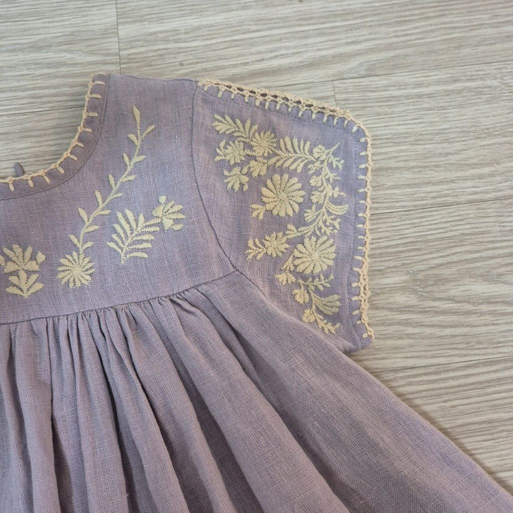 아폴리나 스티비 연보라 3-5--3