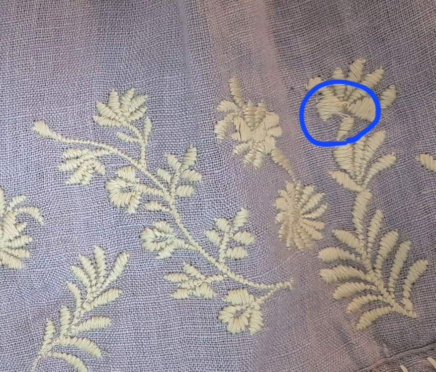 아폴리나 스티비 연보라 3-5--9