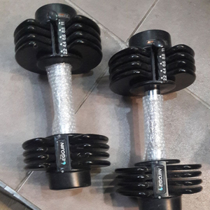 이고진 중량조절 아령 (한쌍) 이미지
