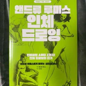 앤드류 루미스 인체 드로잉 책 작법서 그림