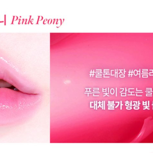 새상품) 코시에로 이미지