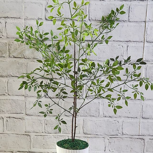 새상품)이케아 화분 싱그러운 화초 조화 인테리어 소품