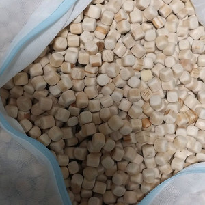 편백나무 큐브칩