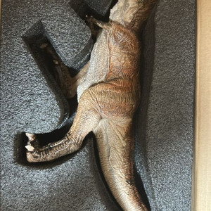 리보 rebor 킹티렉스