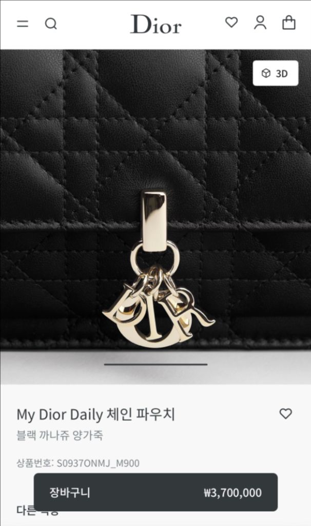 My Dior Daily 체인 파우치 디올 체인 파우치--4