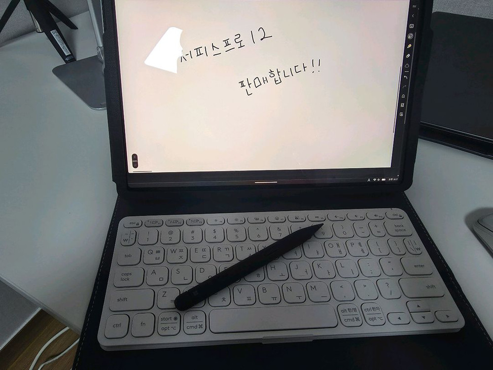 Microsoft Surface Pro 12 + 슬림펜2--3