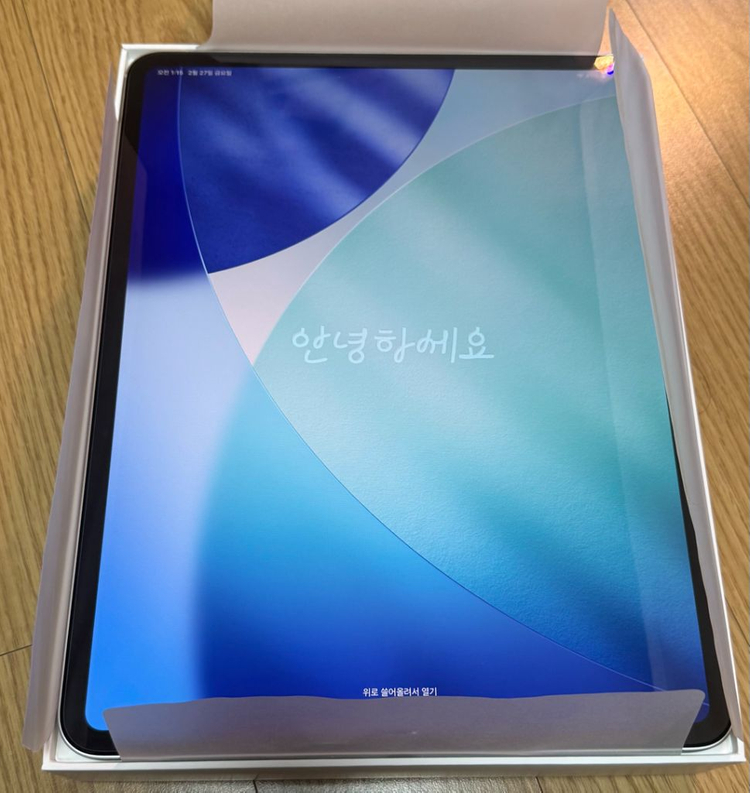 ipad 아이패드 프로 13 M4 1TB WiFi 실버--1