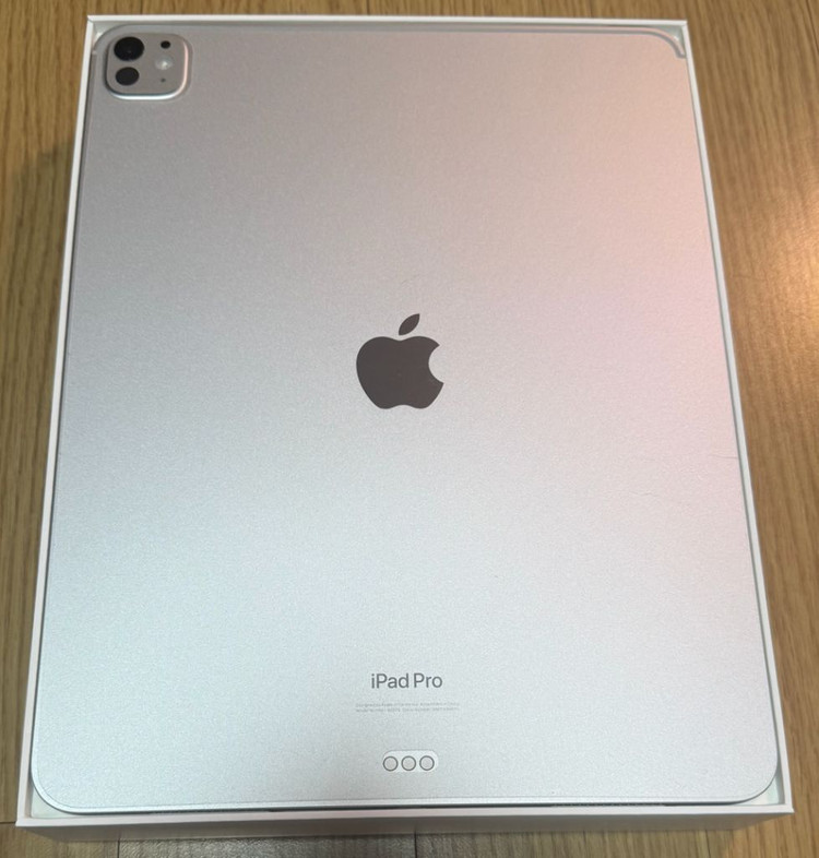 ipad 아이패드 프로 13 M4 1TB WiFi 실버--2