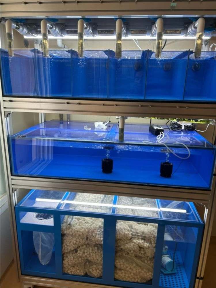 통합 섬프 어항 수조 분양합니다--1