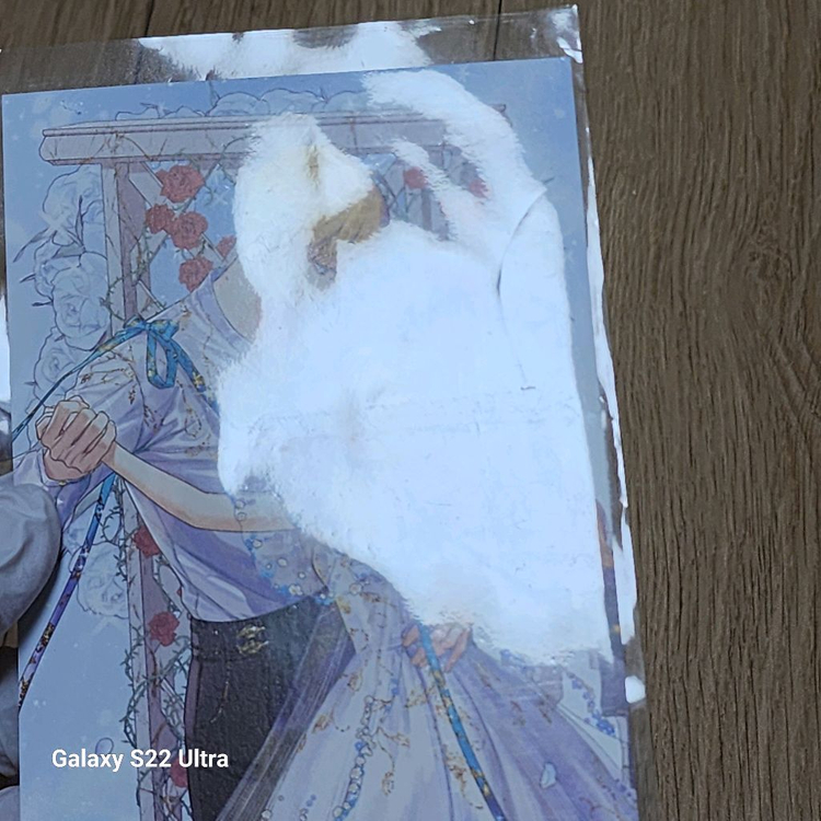 어공주 어느날공주가되어버렸다 굿즈 팝니다 이미지