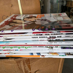 2006년 뉴타입 개인소장 1~12월호 개인소장잡지