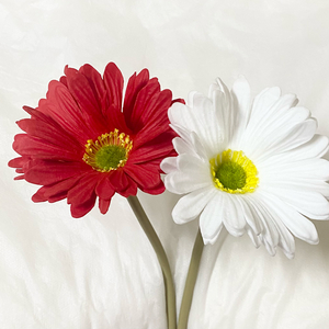 일괄) 체인소맨 꽃 거베라 조화 장식 코스프레 세트 빨강하양