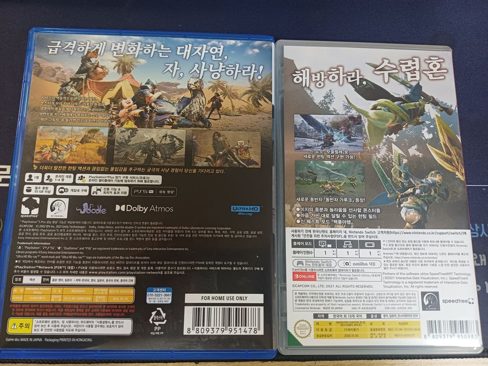 PS5 몬스터헌터 와일즈, 스위치 몬스터헌터 라이즈 이미지
