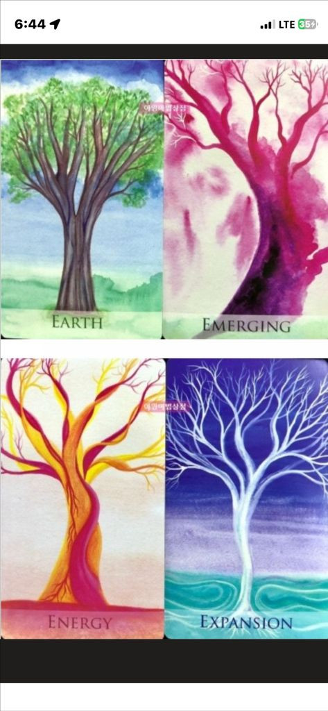 소울 트리 오라클카드 타로카드 소장용 해석북 포함--1