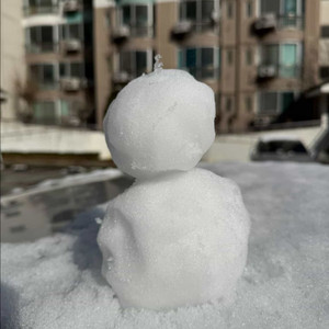 로스트아크 S급 닉네임 팝니다 이미지