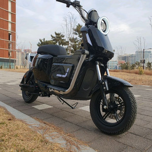 전동 스쿠터 스톰 LT