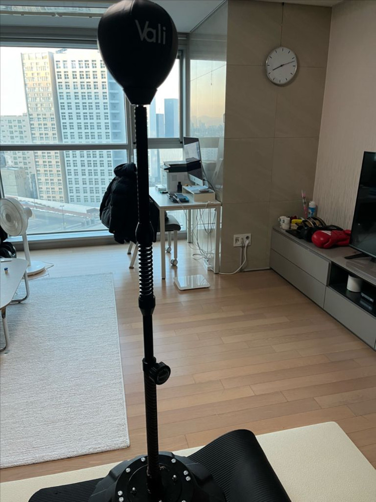 발리 니스타 코브라백--1