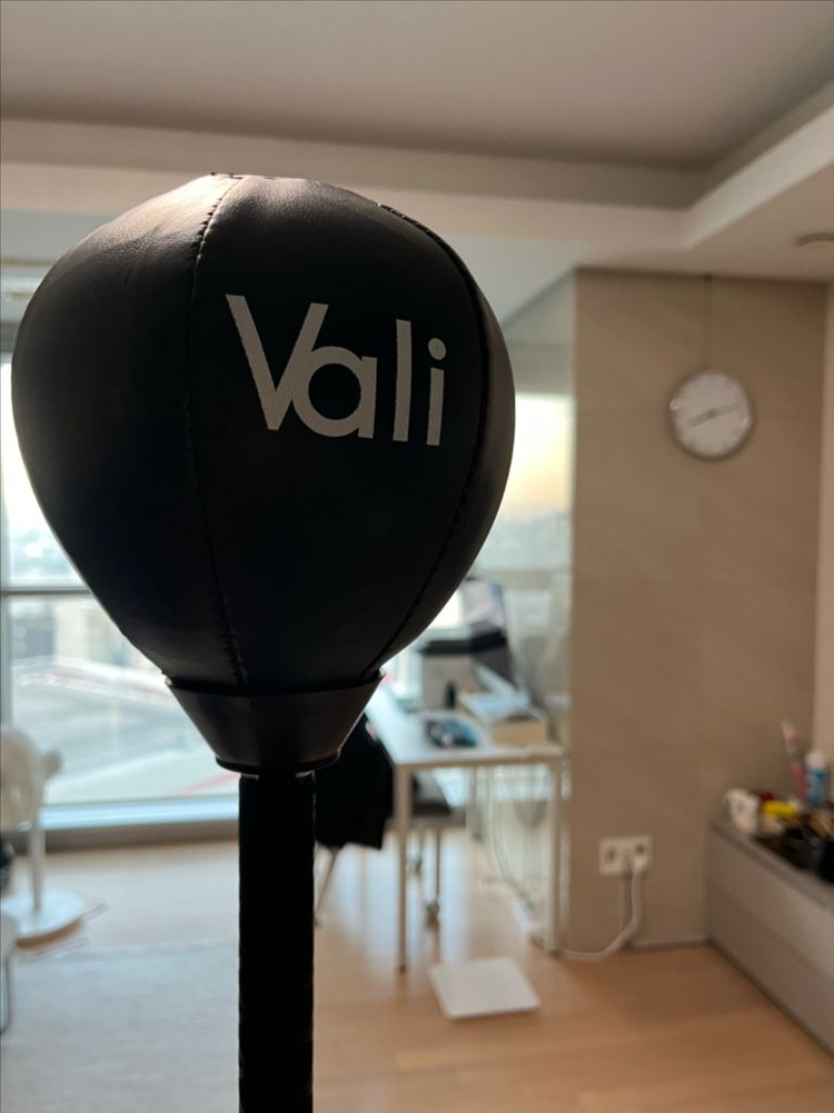 발리 니스타 코브라백--2