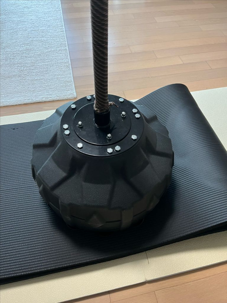 발리 니스타 코브라백--3