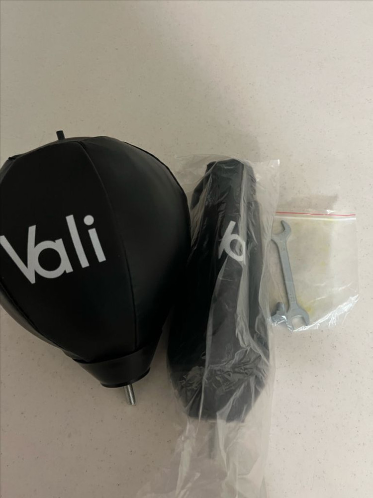 발리 니스타 코브라백--4