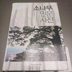 소나무 인문사전 이미지