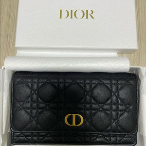 디올 카로 체인 파우치 WOC 팝니다.