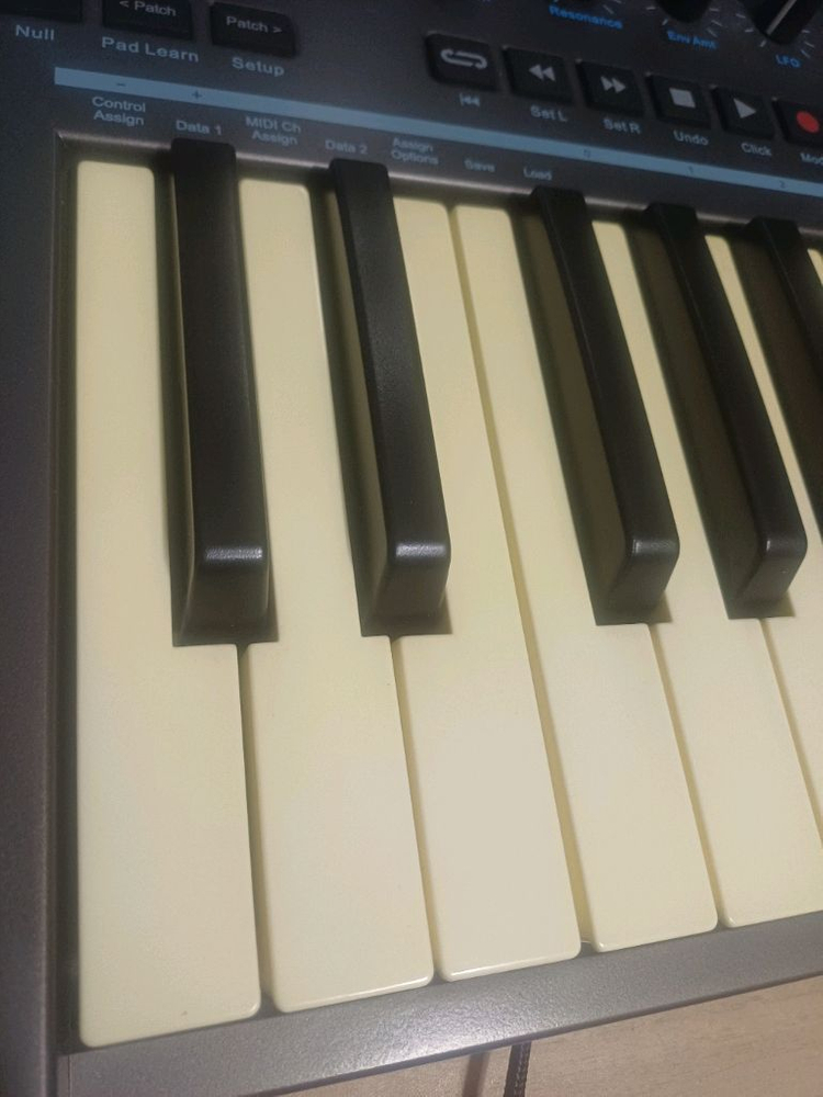 nektar impact lx25+ 넥타 25키 미디 컨트롤러 건반 판매--5