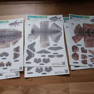 물고기 종이 공작 세트 총 6개