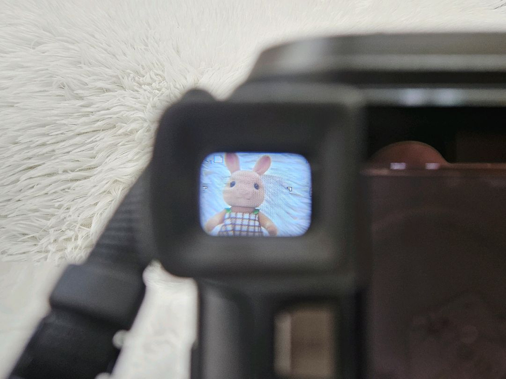 [민트] 삼성 캐녹스 Pro815 하이엔드 디카, 디지털 카메라 판매--6