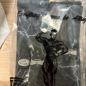 올라잇 한정판 라이트닝 니랩 장비 보호대 제로투히어로 본투윈프리덤올라잇