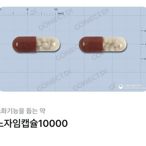 강아지 고양이 no, 자임 10000 (소화)