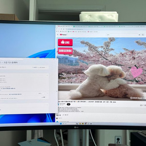 LG 커브드 게이밍 모니터 3840x1600 144Hz (38WN95C) 저렴하게 판매합니다.