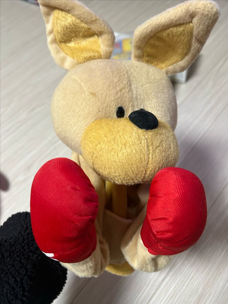 원목 악기 + 인형 가방 + 권투인형--3