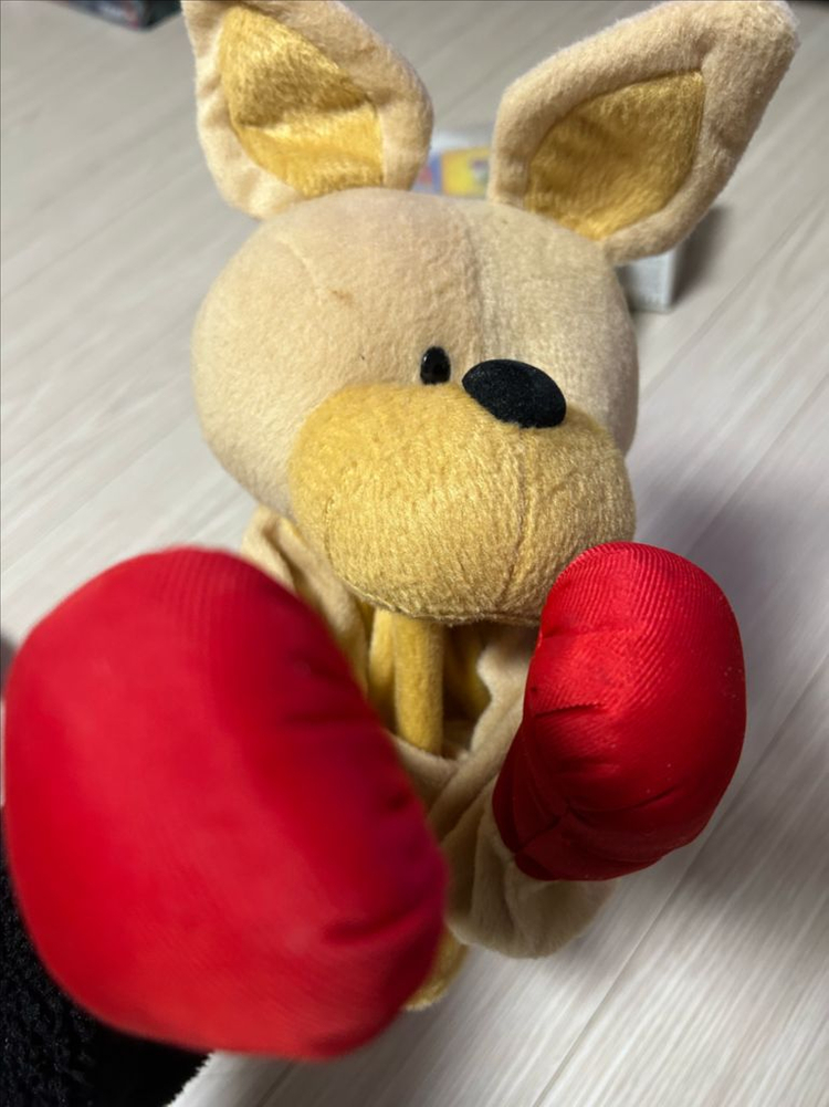 원목 악기 + 인형 가방 + 권투인형--4