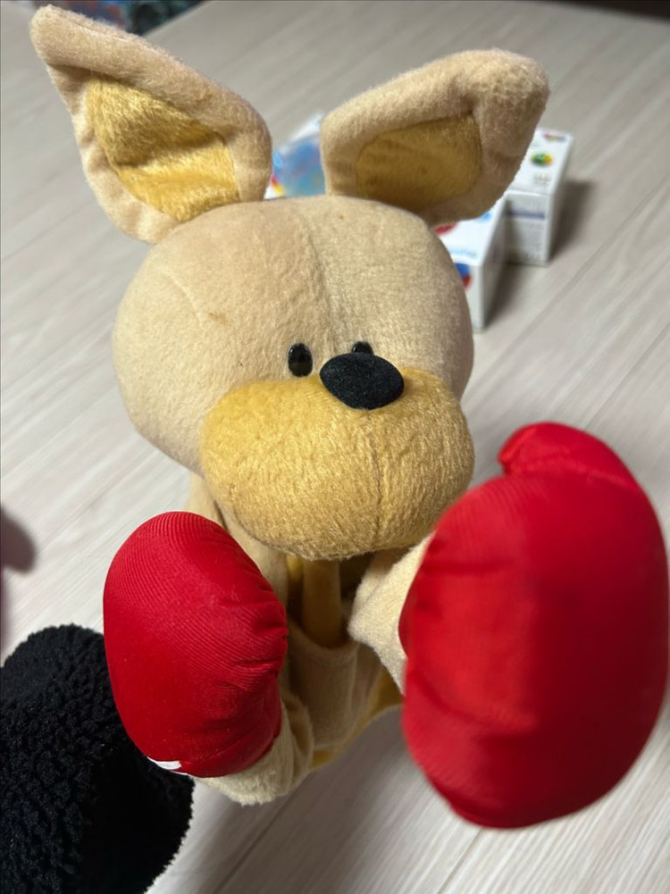 원목 악기 + 인형 가방 + 권투인형--5