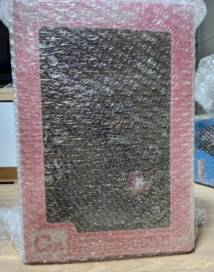 원피스 스트롱월드 복장 우솝&쵸파C상--0