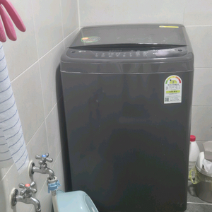 LG통돌이 13kg 세탁기(TR13ML2)