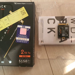 웨스턴디지털 블랙 SN770M M.2 nvme SSD 2TB