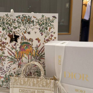 디올 오블리크 미니 백