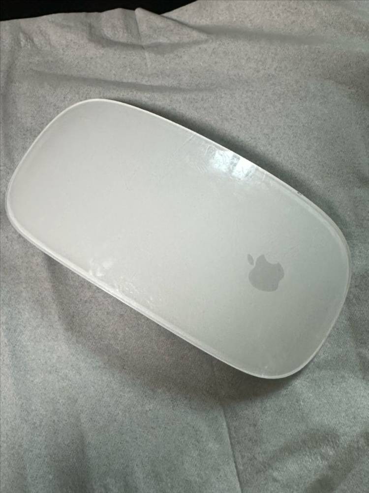 애플 매직마우스2 화이트--1