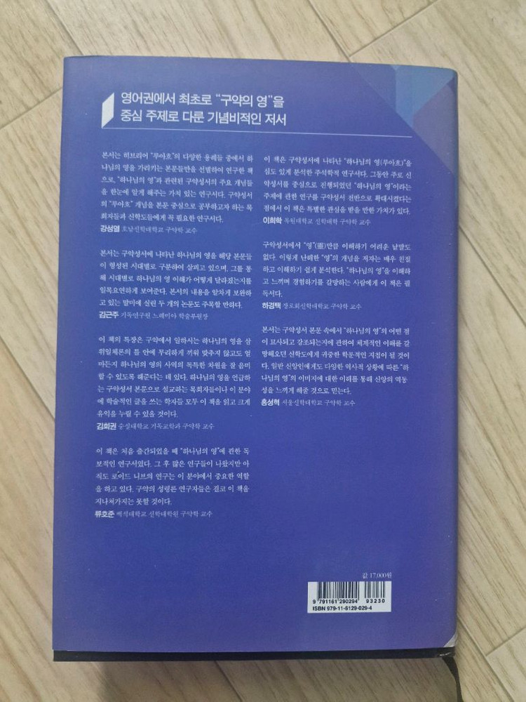 구약의 성령론(기독교, 신학 서적)--1